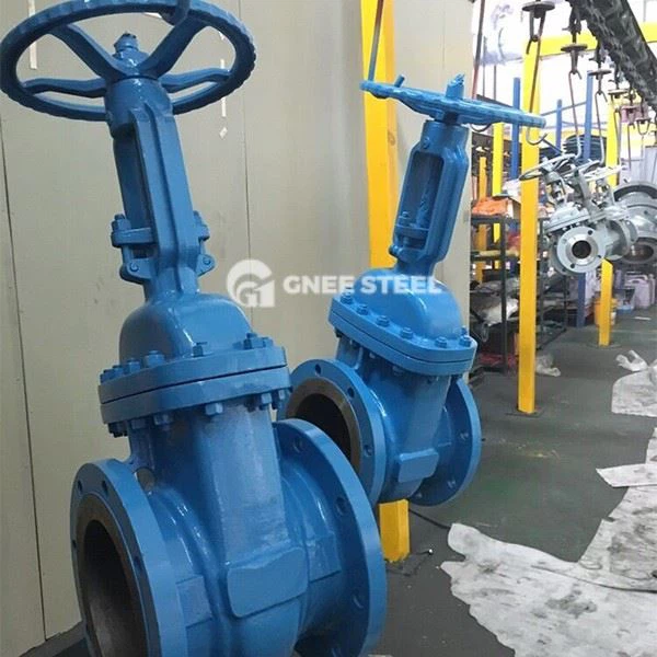 API 600 Wedge Gate Valve