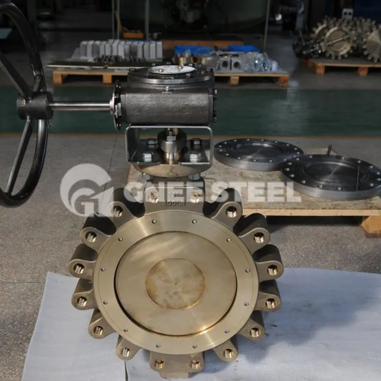 Fül típus visszacsapó szelep